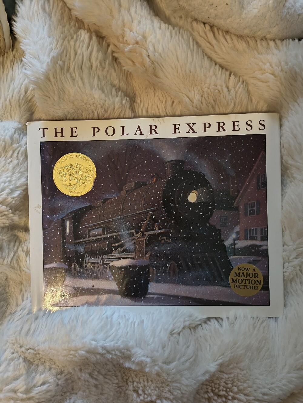 The Polar Express Hardcover Picture Book